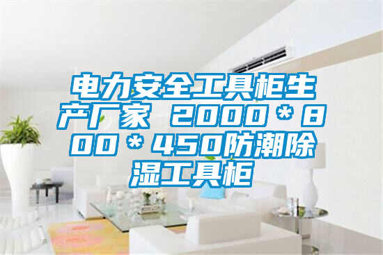 電力安全工具柜生產廠家 2000＊800＊450防潮除濕工具柜