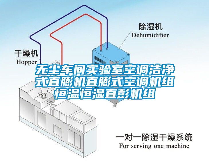 無塵車間實(shí)驗(yàn)室空調(diào)潔凈式直膨機(jī)直膨式空調(diào)機(jī)組恒溫恒濕直彭機(jī)組