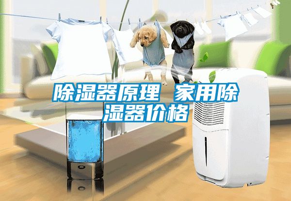 除濕器原理 家用除濕器價格