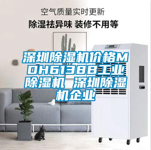 深圳除濕機(jī)價(jià)格MDH6138B工業(yè)除濕機(jī) 深圳除濕機(jī)企業(yè)