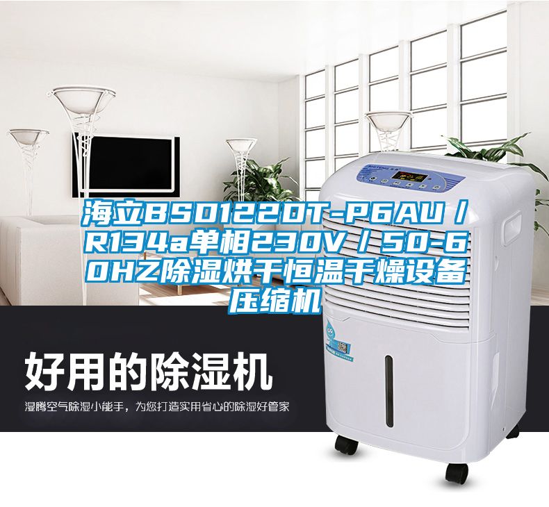 海立BSD122DT-P6AU／R134a單相230V／50-60HZ除濕烘干恒溫干燥設(shè)備壓縮機(jī)