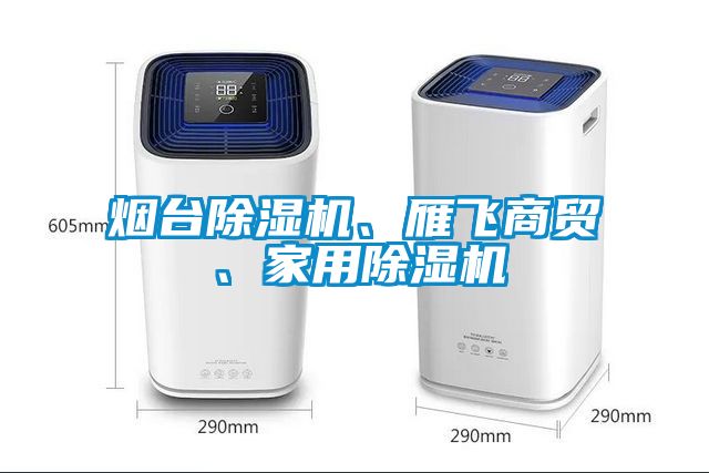 煙臺除濕機、雁飛商貿(mào)、家用除濕機