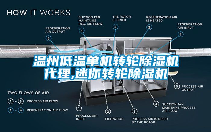 溫州低溫單機轉輪除濕機代理,迷你轉輪除濕機