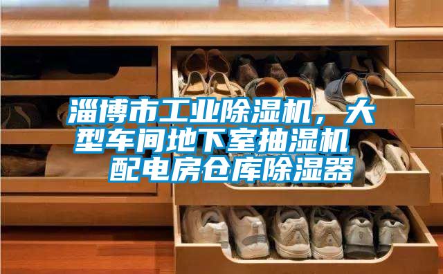 淄博市工業(yè)除濕機，大型車間地下室抽濕機  配電房倉庫除濕器