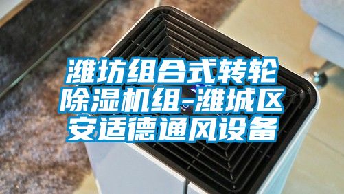 濰坊組合式轉輪除濕機組-濰城區(qū)安適德通風設備