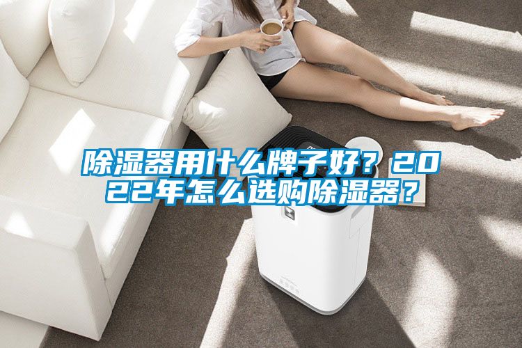 除濕器用什么牌子好？2022年怎么選購(gòu)除濕器？