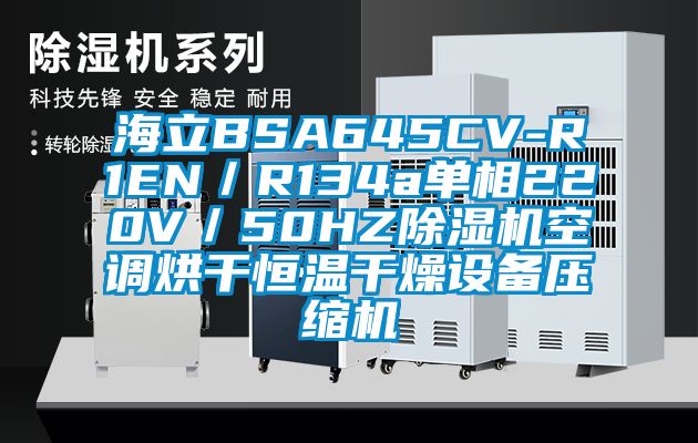 海立BSA645CV-R1EN／R134a單相220V／50HZ除濕機(jī)空調(diào)烘干恒溫干燥設(shè)備壓縮機(jī)