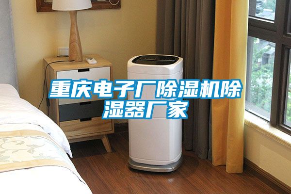 重慶電子廠除濕機除濕器廠家