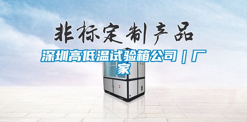 深圳高低溫試驗(yàn)箱公司｜廠家