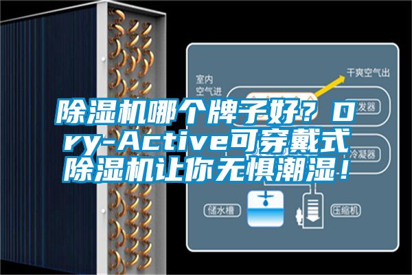 除濕機(jī)哪個(gè)牌子好？Dry-Active可穿戴式除濕機(jī)讓你無(wú)懼潮濕！