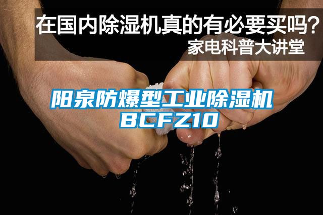 陽泉防爆型工業(yè)除濕機 BCFZ10