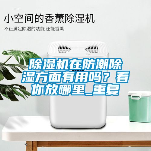 除濕機(jī)在防潮除濕方面有用嗎？看你放哪里_重復(fù)