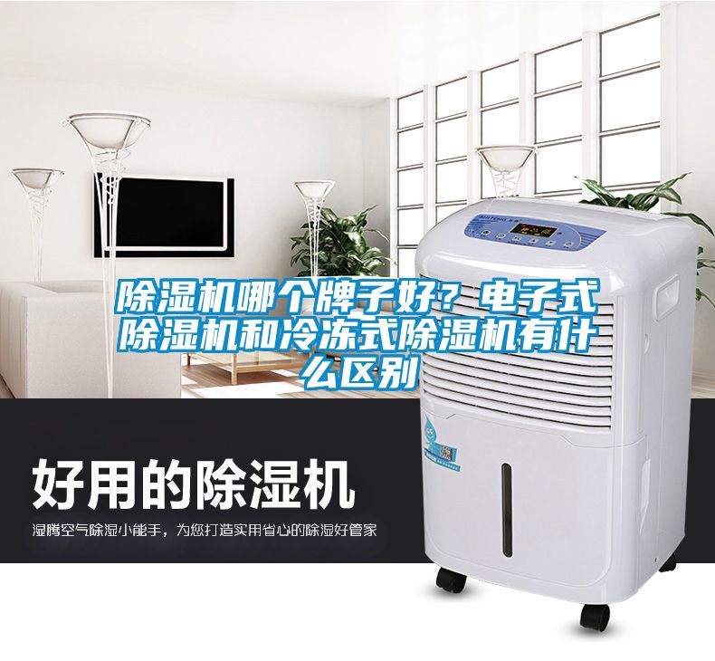 除濕機哪個牌子好？電子式除濕機和冷凍式除濕機有什么區(qū)別