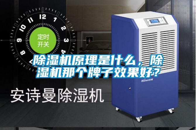 除濕機原理是什么，除濕機那個牌子效果好？