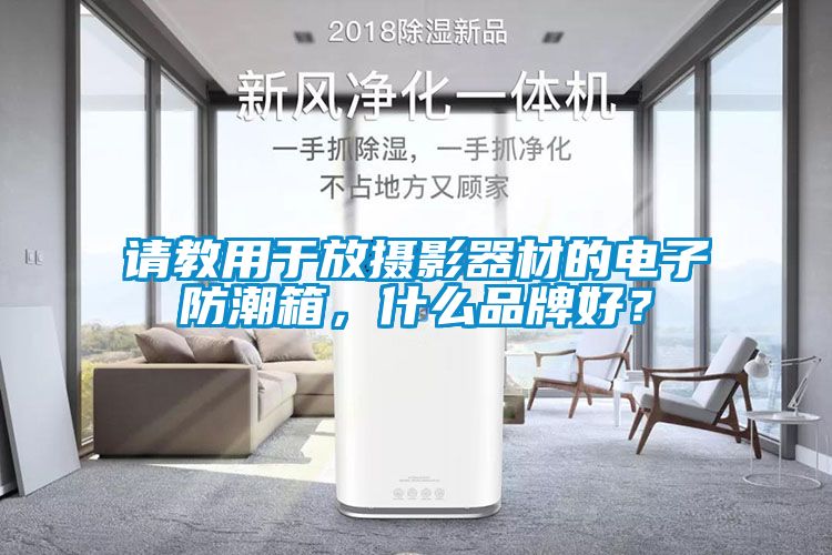 請教用于放攝影器材的電子防潮箱，什么品牌好？