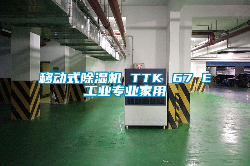 移動式除濕機 TTK 67 E工業(yè)專業(yè)家用