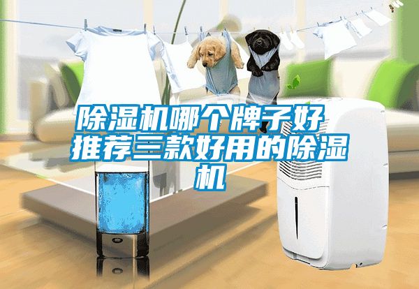 除濕機(jī)哪個(gè)牌子好 推薦三款好用的除濕機(jī)