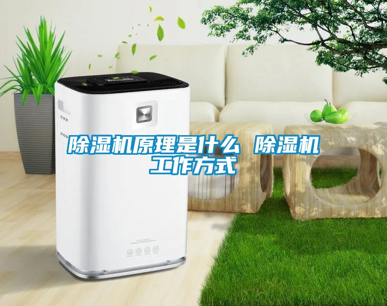 除濕機原理是什么 除濕機工作方式