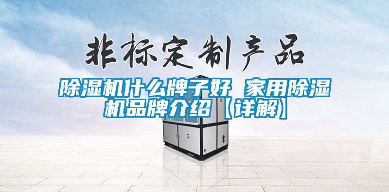 除濕機(jī)什么牌子好 家用除濕機(jī)品牌介紹【詳解】