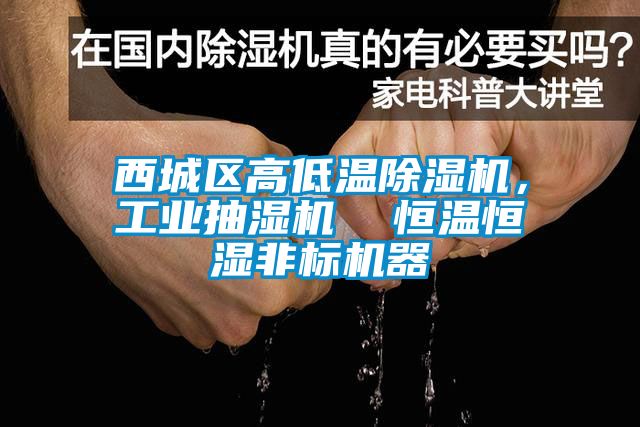 西城區(qū)高低溫除濕機，工業(yè)抽濕機  恒溫恒濕非標機器