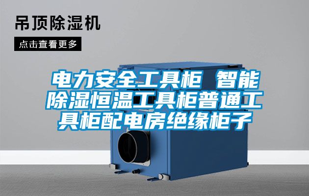 電力安全工具柜 智能除濕恒溫工具柜普通工具柜配電房絕緣柜子