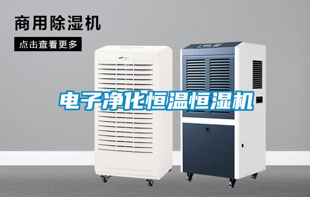 電子凈化恒溫恒濕機(jī)