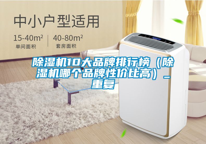 除濕機(jī)10大品牌排行榜（除濕機(jī)哪個(gè)品牌性價(jià)比高）_重復(fù)