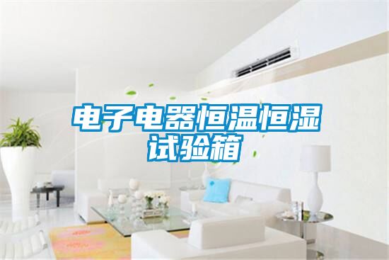 電子電器恒溫恒濕試驗(yàn)箱