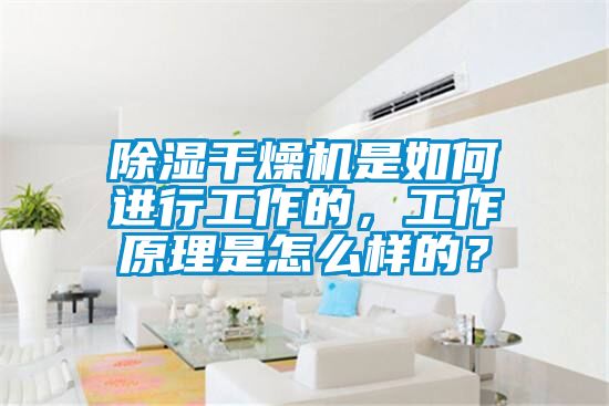 除濕干燥機(jī)是如何進(jìn)行工作的，工作原理是怎么樣的？