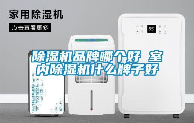 除濕機品牌哪個好 室內除濕機什么牌子好