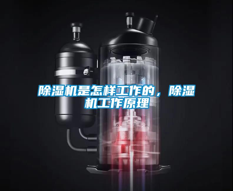 除濕機是怎樣工作的，除濕機工作原理