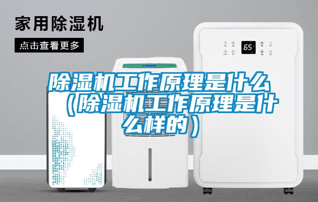 除濕機工作原理是什么（除濕機工作原理是什么樣的）