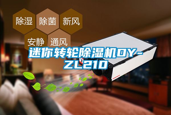 迷你轉輪除濕機DY-ZL210