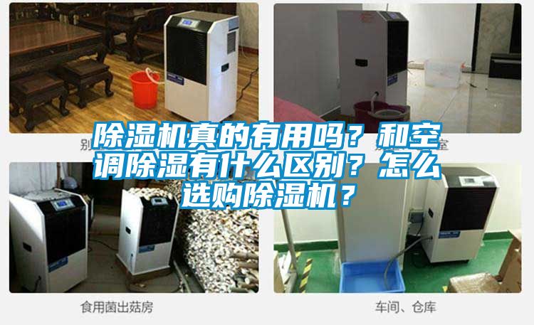 除濕機真的有用嗎？和空調除濕有什么區(qū)別？怎么選購除濕機？