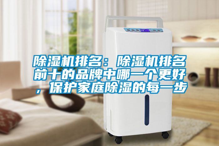 除濕機(jī)排名：除濕機(jī)排名前十的品牌中哪一個(gè)更好，保護(hù)家庭除濕的每一步