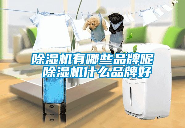 除濕機(jī)有哪些品牌呢 除濕機(jī)什么品牌好