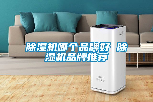 除濕機哪個品牌好 除濕機品牌推薦