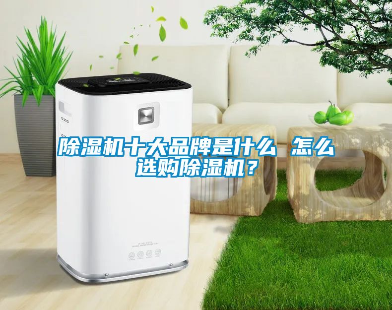 除濕機(jī)十大品牌是什么 怎么選購除濕機(jī)？