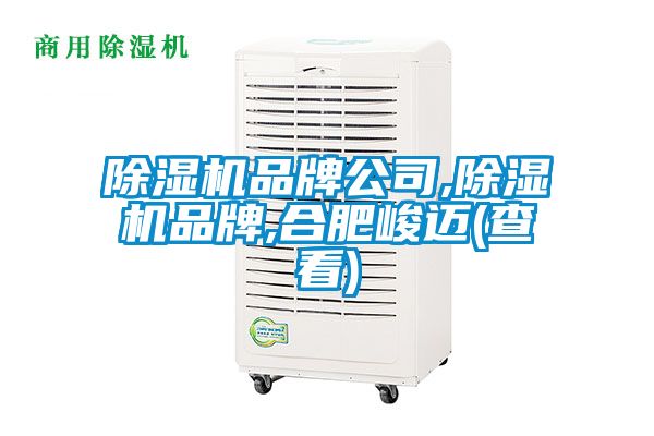 除濕機品牌公司,除濕機品牌,合肥峻邁(查看)