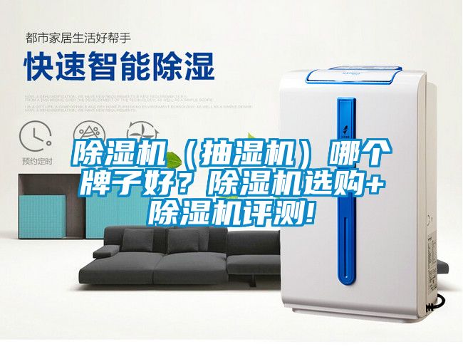 除濕機（抽濕機）哪個牌子好？除濕機選購+除濕機評測!