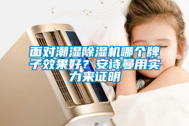 面對潮濕除濕機哪個牌子效果好？安詩曼用實力來證明