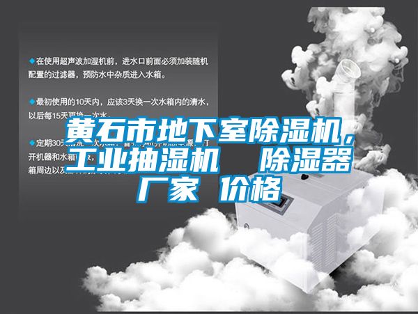 黃石市地下室除濕機(jī)，工業(yè)抽濕機(jī)  除濕器廠家 價(jià)格