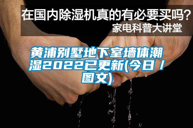 黃浦別墅地下室墻體潮濕2022已更新(今日／圖文)