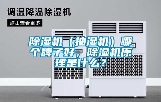 除濕機（抽濕機）哪個牌子好，除濕機原理是什么？