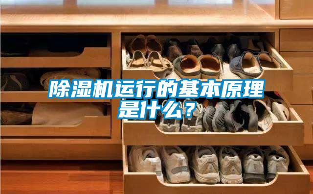 除濕機運行的基本原理是什么？