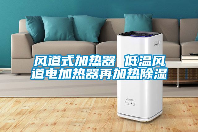 風(fēng)道式加熱器 低溫風(fēng)道電加熱器再加熱除濕