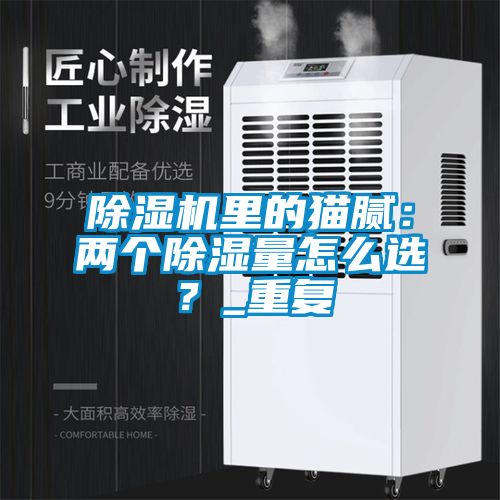 除濕機里的貓膩：兩個除濕量怎么選？_重復